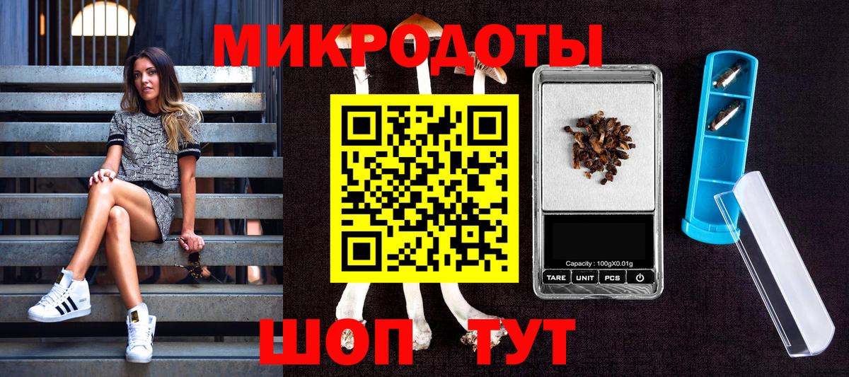 Галлюциногенные грибы мицелий Добрянка